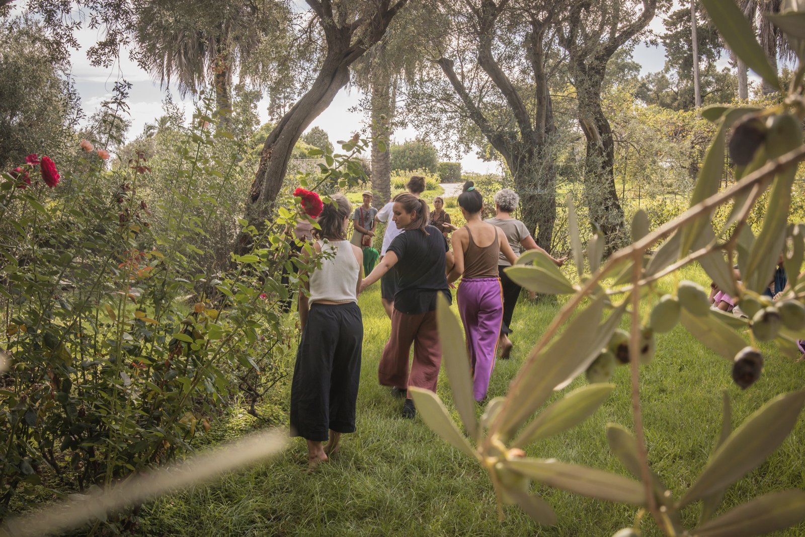 Dancers walking hand in hand through the garden, framed by olive branches and red roses